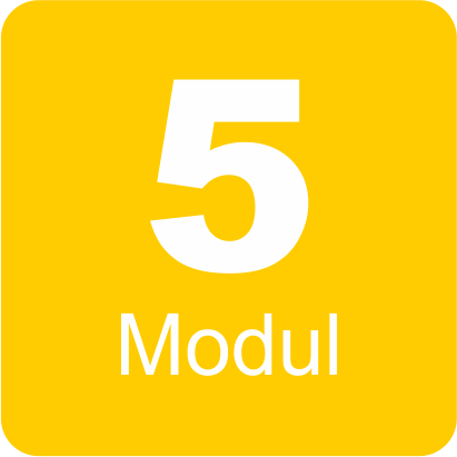 Modul 5 – Sicherheit Ladung & Fahrgast